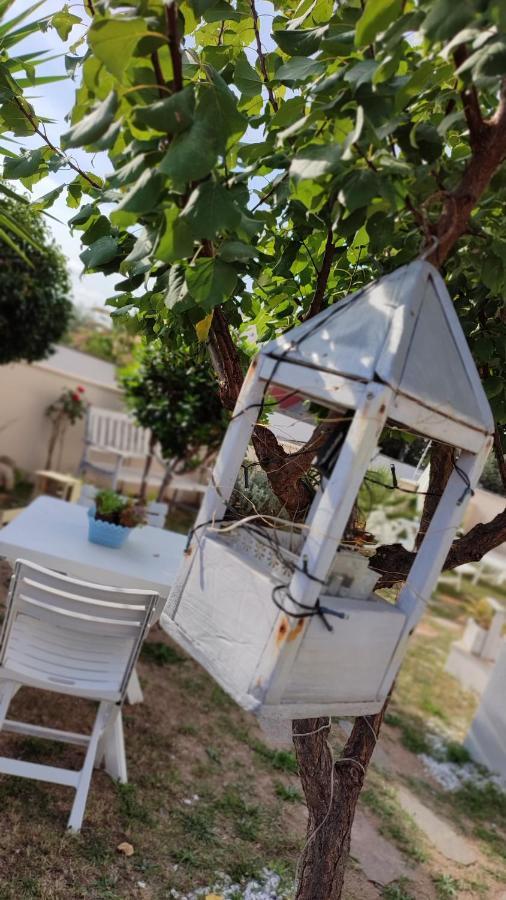 Casa Vacanze Olbia Esterno foto